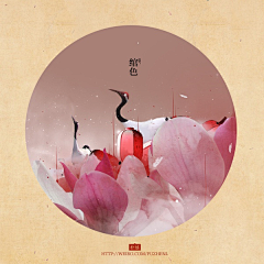 晚希无采集到色彩