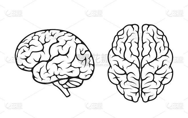 人脑图标设置。侧视图和俯视图。心理，心理和神经学符号