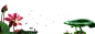 免扣背景PNG素材#荷花元素#