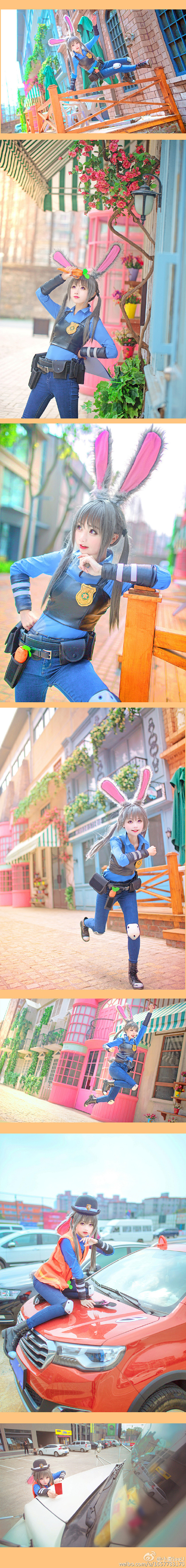 #疯狂动物城##Zootopia##兔朱...