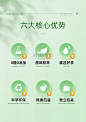 浅绿清爽电商详情核心优势卖点版式