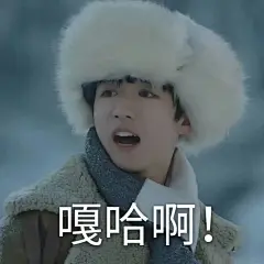 #庆庆子的表情包#张保庆#王俊凯