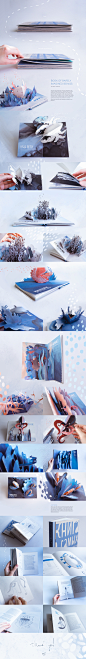 POP-UP Book Design: Barely Imagined Beings : This project was inspired by Caspar Henderson and his outstanding work "Book of Barely Imagined Beings. A 21st Century Bestiary". The book series includes ten voluminous illustrations, each of which p