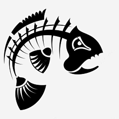 杨六六采集到骨