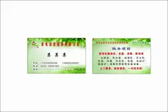 欣洁馨家电清洗服务名片,欣洁馨,家电,清洗,名片,免费下载,绿叶,cdr,精品名片卡,精品模板,模板素材,网,模板网站,模板下载编号2668970@北坤人素材
