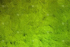 抽象纹理背景在柠檬黄