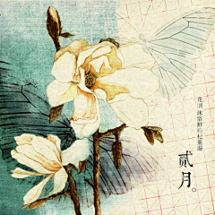 翼年璎珞采集到1-12花卉