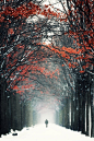autumn in winter | by Ronny Engelmann