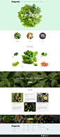 Bootstrap绿色农业蔬果网站模板 - organic - 网站模板，优质网站模板精选 - 模板世界