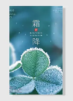 传统节气月中气防秋燥防秋郁防寒二十四节气创意简约霜降节日海报