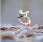(91) Pinterest