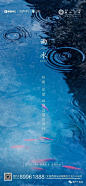 雨水