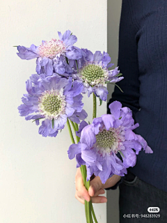 你自信时候真的美多了采集到花纹