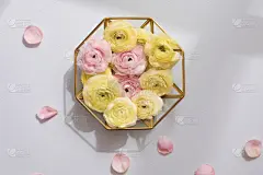 春天,平铺,留白,淡雅,背景,风景,玫瑰,周年纪念,请柬,贺卡