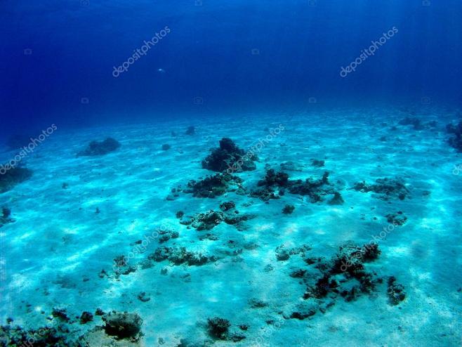 在红海海底