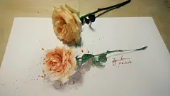 悲伤天生是要被努力节制的-Zgoudan狗蛋啊_手绘,插画,水彩,写生,清新,练手_涂鸦王国插画