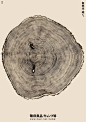 16291A605-20