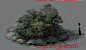 ca_plant_grass001