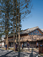 村委大院 改扩建乡村旅舍 村民活动中心 - 小红书