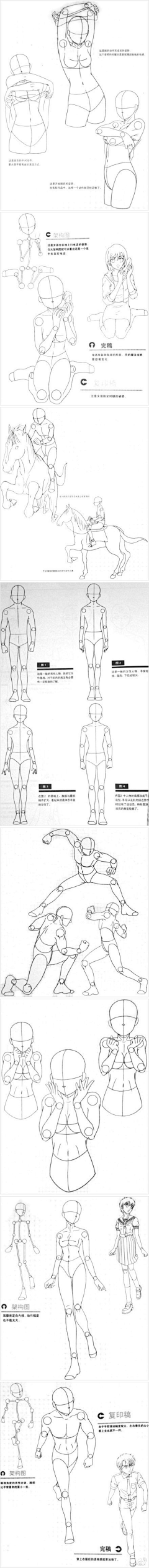 翘翘日志采集到人体比例