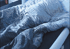 【新款二哈智障表情包，你用起来了吗？】……等等，说谁智障呢？哈士奇不仅外表俊朗吃苦耐劳，放牧拉橇一把罩，而！且！很！聪！明！你家哈士奇傻了吧唧？说不定是主人的问题→_→O新款二哈智障表情包，你值得拥有！ #强行科普#