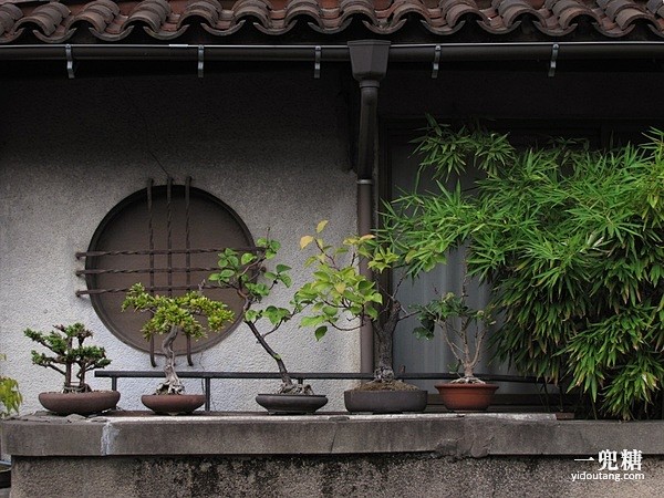 日本人的家门口，植木钵形成的特色街巷庭院