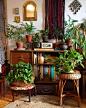 Claire / Plant&Wander on Instagram: “This is the space I chose for the thrifted mirror I posted yesterday!! ✨Amongst my plants and decor books  and of course some of my other…”