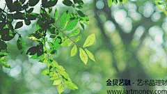 手机壁纸—安卓壁纸-iPhone壁纸-手机墙纸-锁屏壁纸-iPhone摄影-手机屏保 #素描# #水彩# #背景图# #壁纸# #小清新#