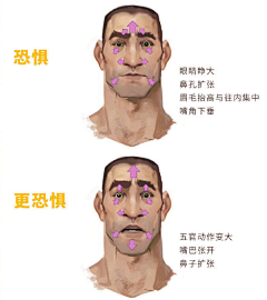 GMYP3000采集到有用的教程