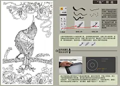 AI结合数位板绘制漂亮翠鸟插画过程 飞特网 AI实例教程