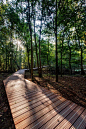 ww1-landscape-memorial-forest-path-Ypres-Belgium-omgeving-landscape-architecture-15 « Landscape Architecture Works | Landezine