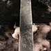 zrbin
