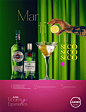 art direction  cocktail Fashion  glamour liquor Martini Negroni Photography  still life bar