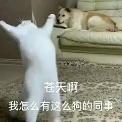 表情包 (11)