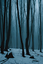anotic:

Foggy Weekend  |  Michal Zborovjan
