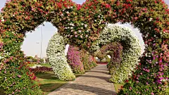 爱心园林,道路,鲜花浪漫风景桌面壁纸