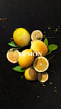 Day 3: Lemon
The lemon is a small evergreen tree native to Asia. The tree’s ellipsoidal yellow fruit is used for culinary and non-culinary purposes throughout the world, primarily for its juice, though the pulp and rind are also used in cooking and...