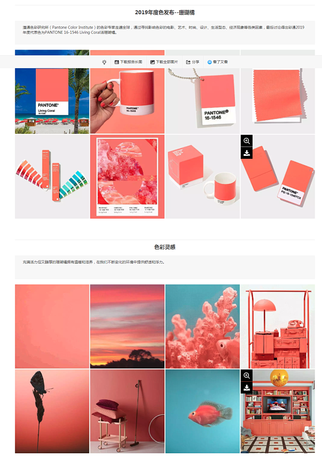 PANTONE 2019年度色发布--珊...