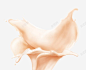 动感奶油牛奶高清素材 动感 奶油 牛奶 元素 免抠png 设计图片 免费下载 页面网页 平面电商 创意素材