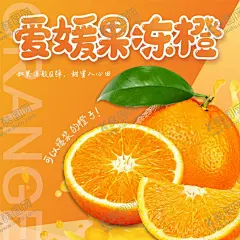 爱媛果冻橙子主图海报展架宣传 【酷图网】爱媛,果冻橙,橙子,主图,海报,展架,宣传