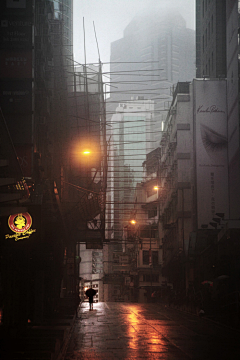 阴天颓废的向日葵采集到香港