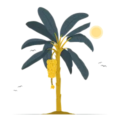 香蕉树插画