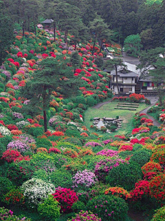 心语wind采集到庭院