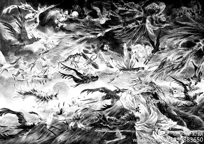 早稻-野獸的照片 - 微相册