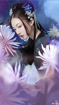 清风玉箫寒采集到颜