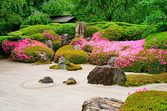 栀芓采集到植意——禅意 日式