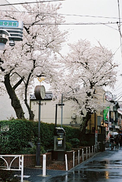 留白333333采集到场景