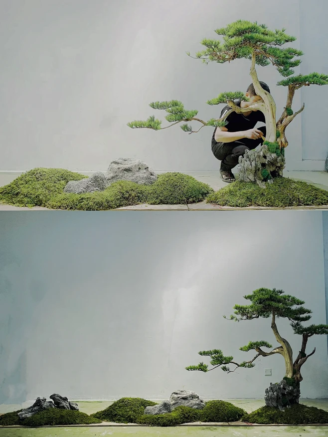 用设计诠释禅意与灵感｜枯山水室内景观