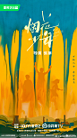 @电视剧烟花与少年 的个人主页 - 微博
