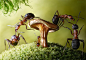 俄国天才摄影师Andrey Pavlov用微距摄影拍了一组小蚂蚁的震撼组图 #采集大赛#